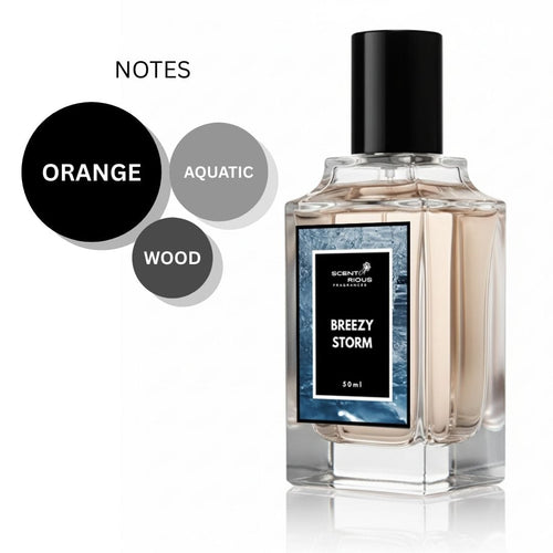 Breezy Storm | Inspired by Bvlgari Aqva