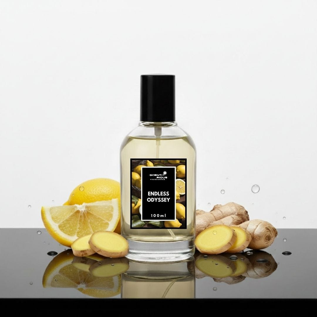 Endless Odyssey | Inspired by Imagination LV