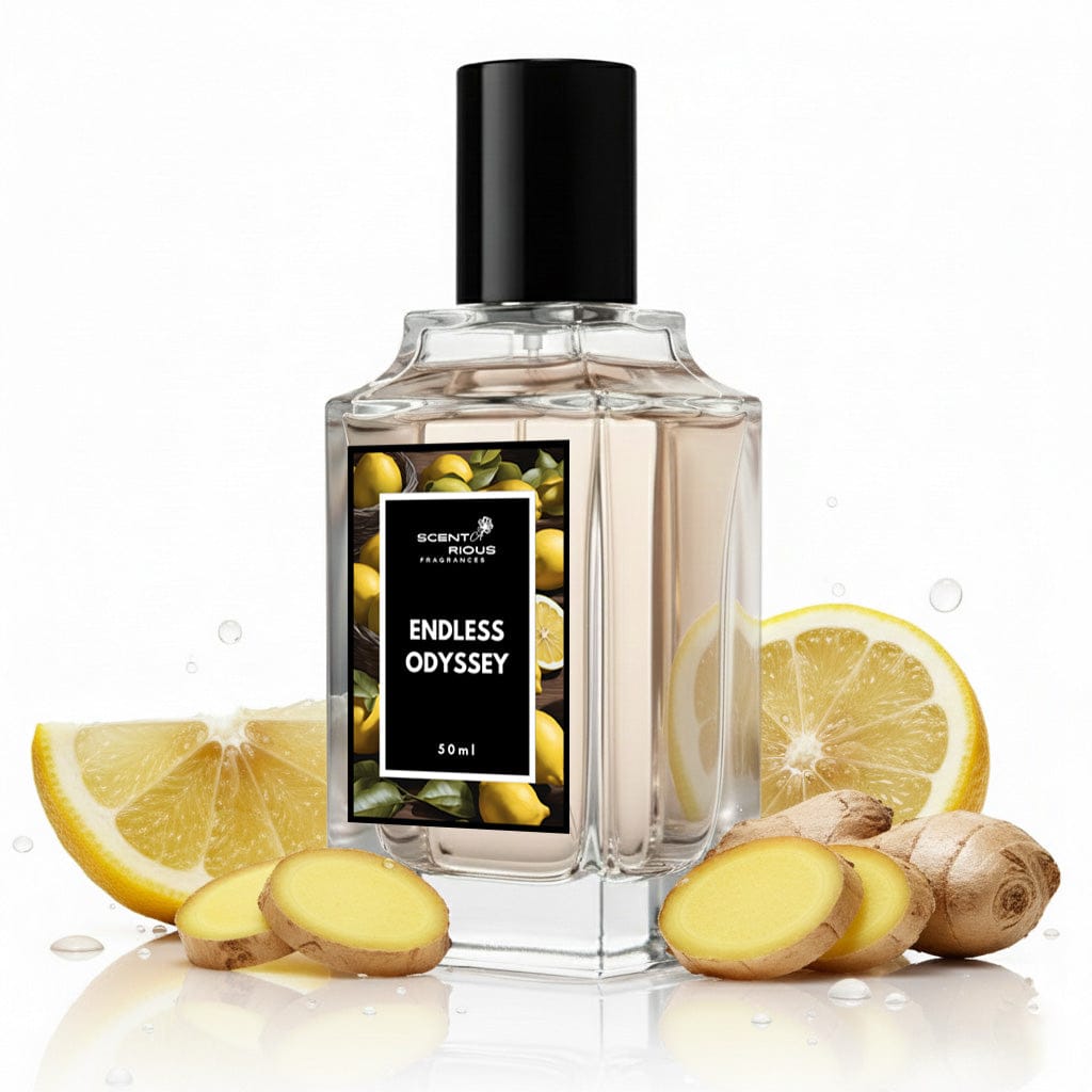 Endless Odyssey | Inspired by Imagination LV