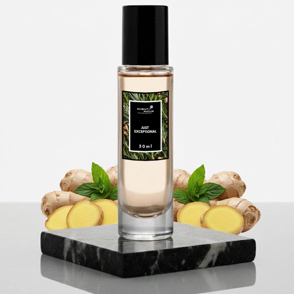 Just Exceptional | Inspired by L'Immensite LV