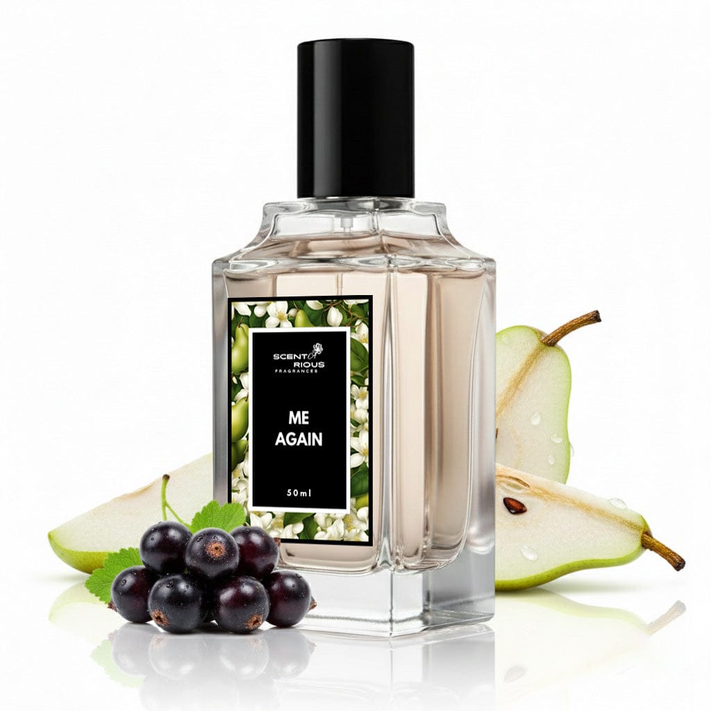 Me Again | Inspired by La Vie Est Belle